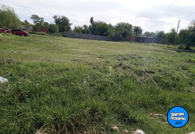 Terrenos - CarcaraÑa - Venta