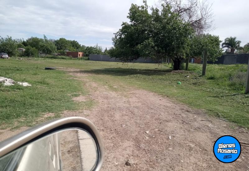 Terrenos - CarcaraÑa - Venta