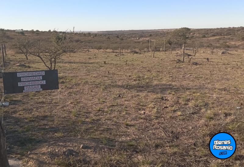 Terrenos - Rio De Los Sauces - Venta