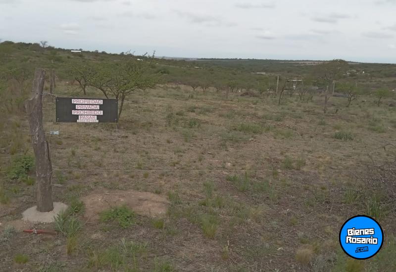 Terrenos - Rio De Los Sauces - Venta