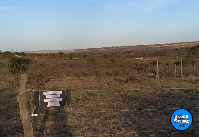 Terrenos - Rio De Los Sauces - Venta