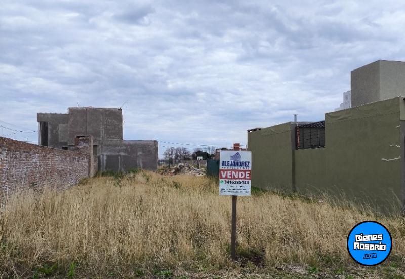Terrenos - Alvear - Venta