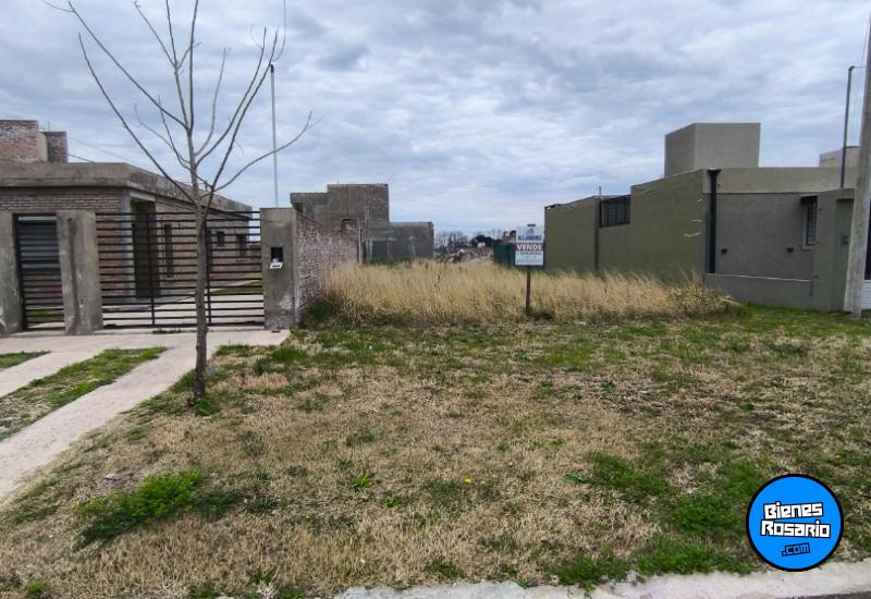 Terrenos - Alvear - Venta
