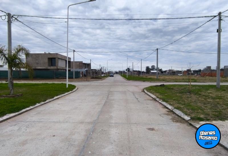 Terrenos - Alvear - Venta