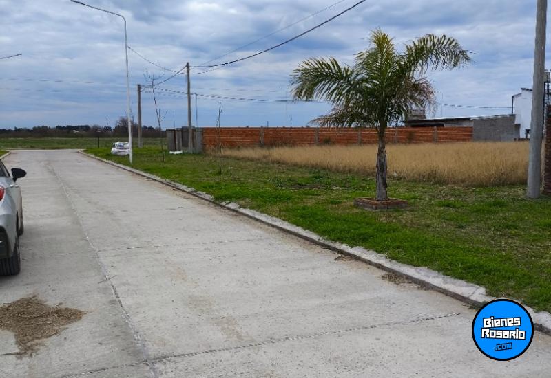 Terrenos - Alvear - Venta