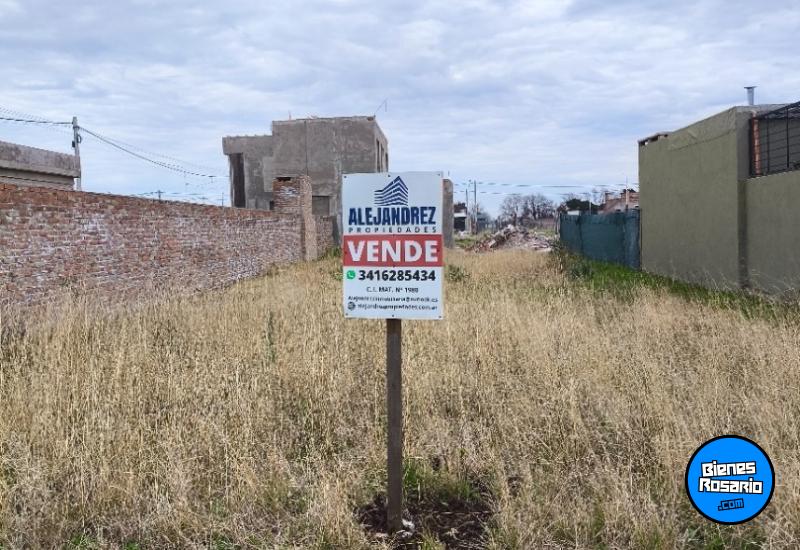Terrenos - Alvear - Venta