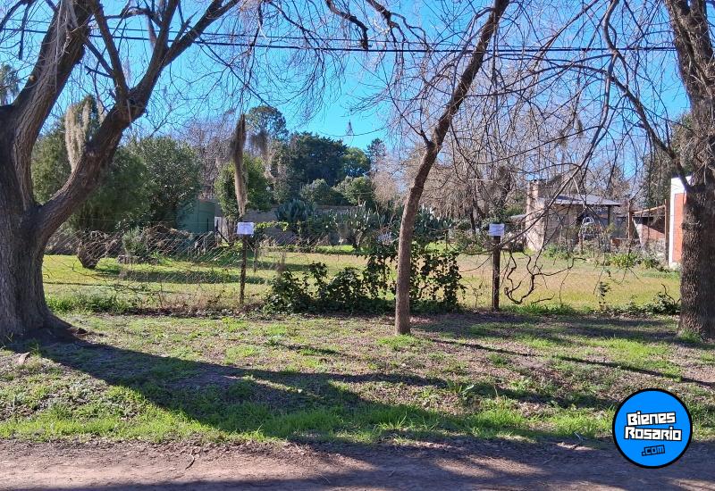 Terrenos - Zavalla - Venta