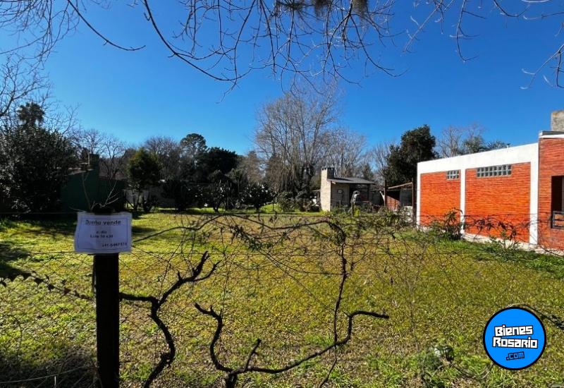 Terrenos - Zavalla - Venta