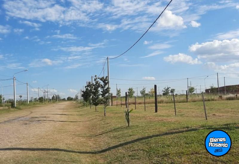Terrenos - Carcaraa - Venta