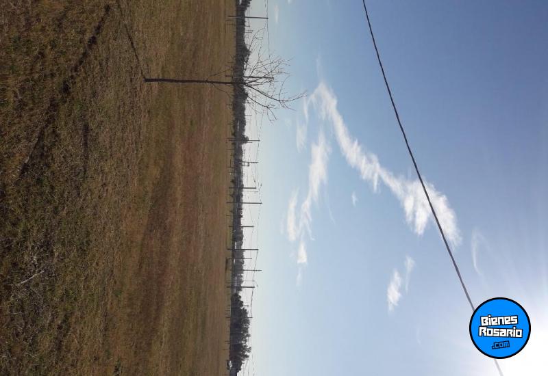 Terrenos - Carcaraa - Venta