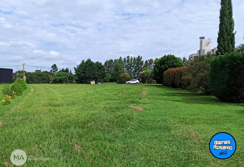 Terrenos - Oliveros - Venta