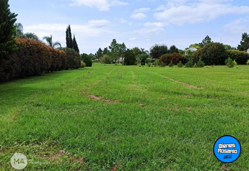 Terrenos - Oliveros - Venta