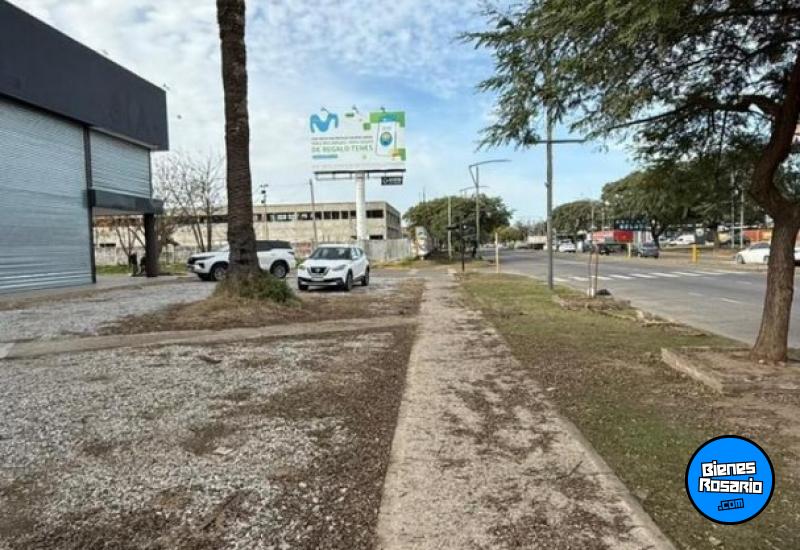 Locales - Rosario -  Alquiler