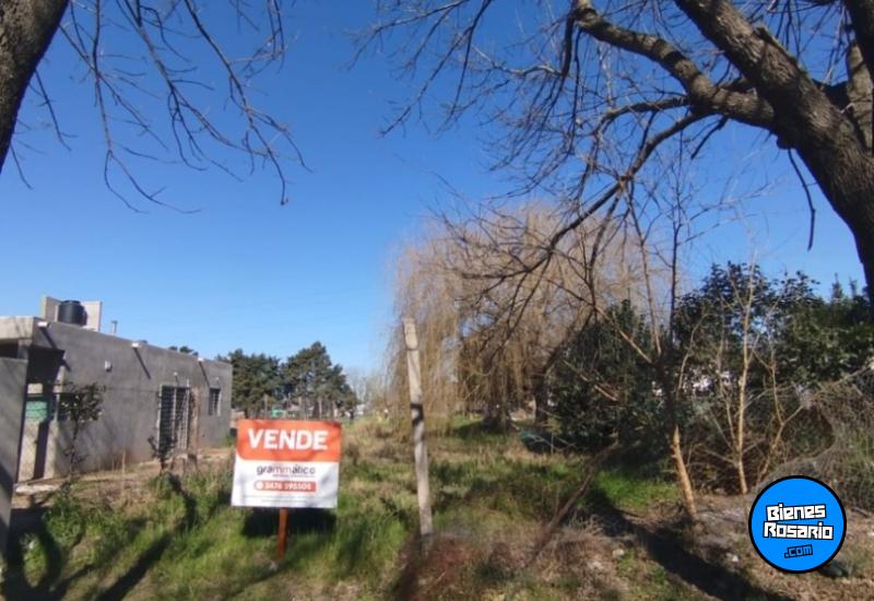 Terrenos - Ricardone - Venta