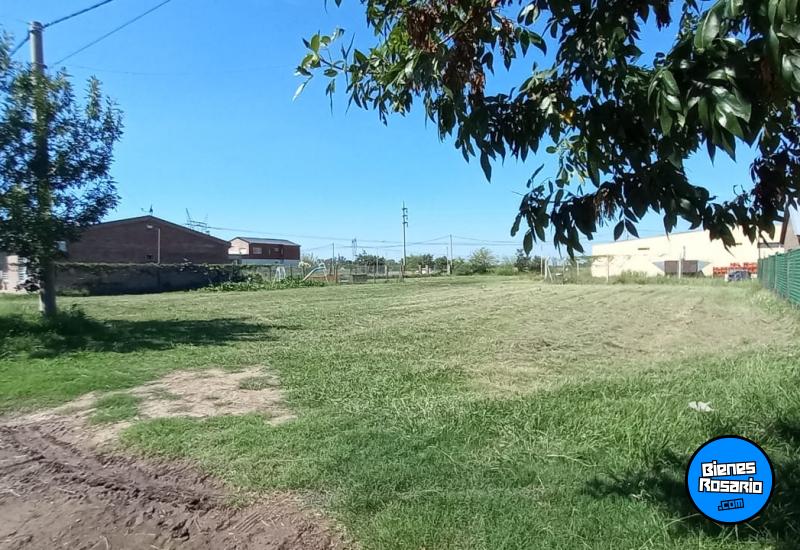 Terrenos - Roldan - Venta