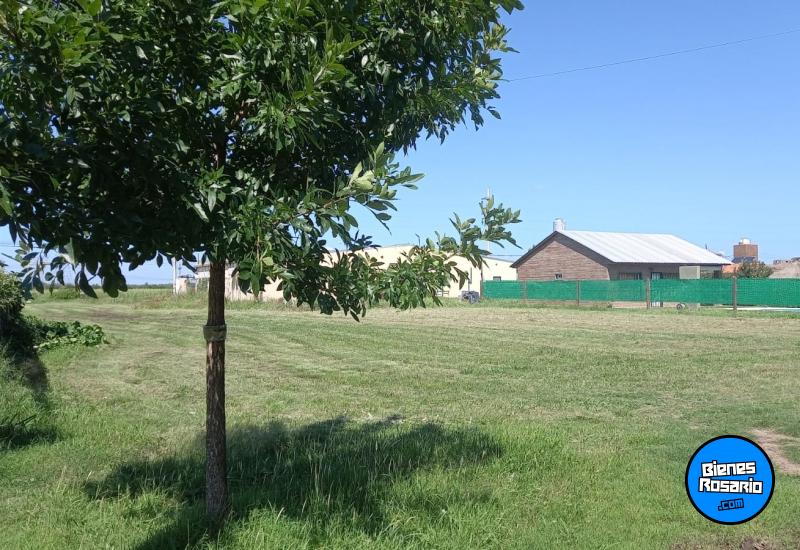 Terrenos - Roldan - Venta