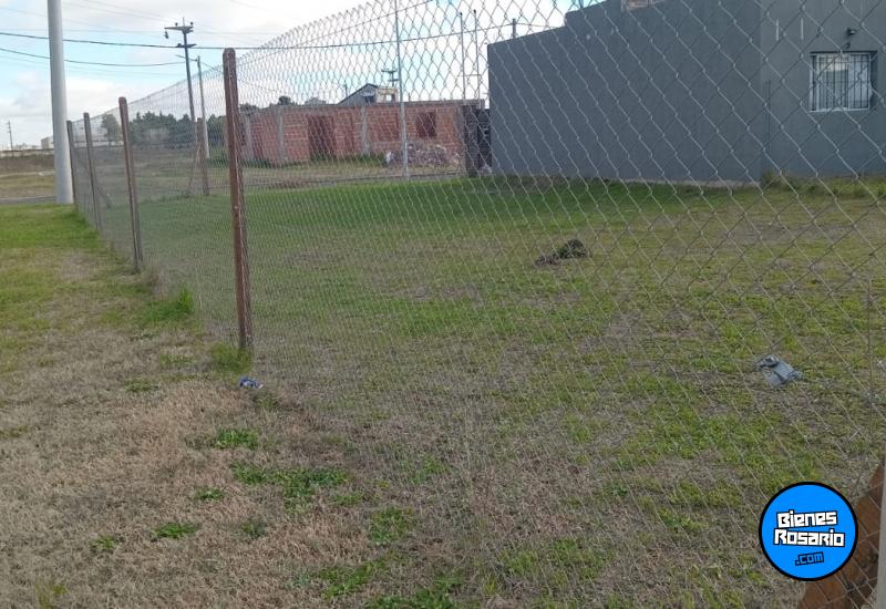 Terrenos - Alvear - Venta