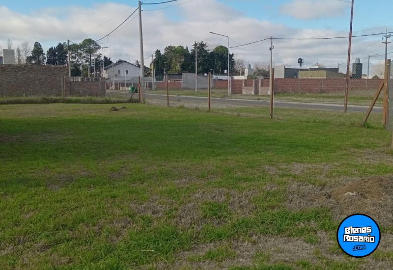 Terrenos - Alvear - Venta