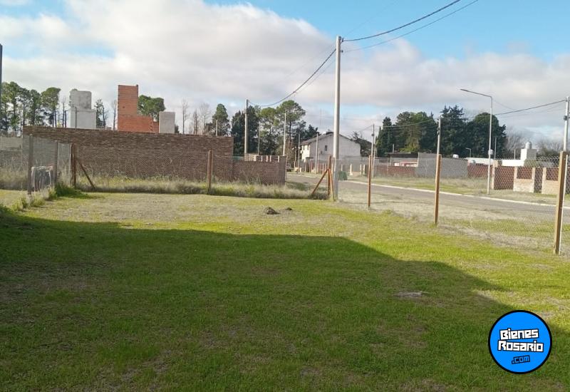 Terrenos - Alvear - Venta