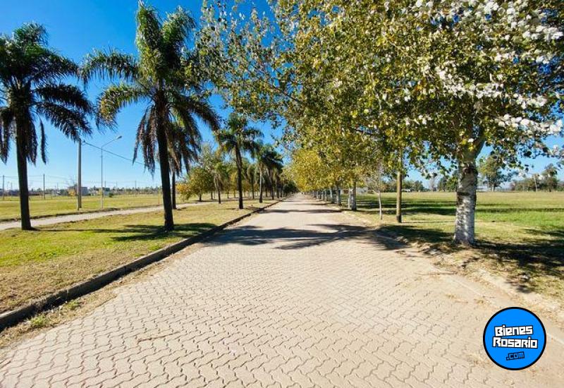 Terrenos - Roldan - Venta