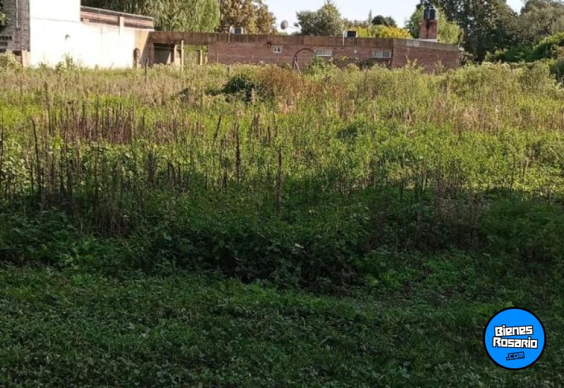 Terrenos - Oliveros - Venta