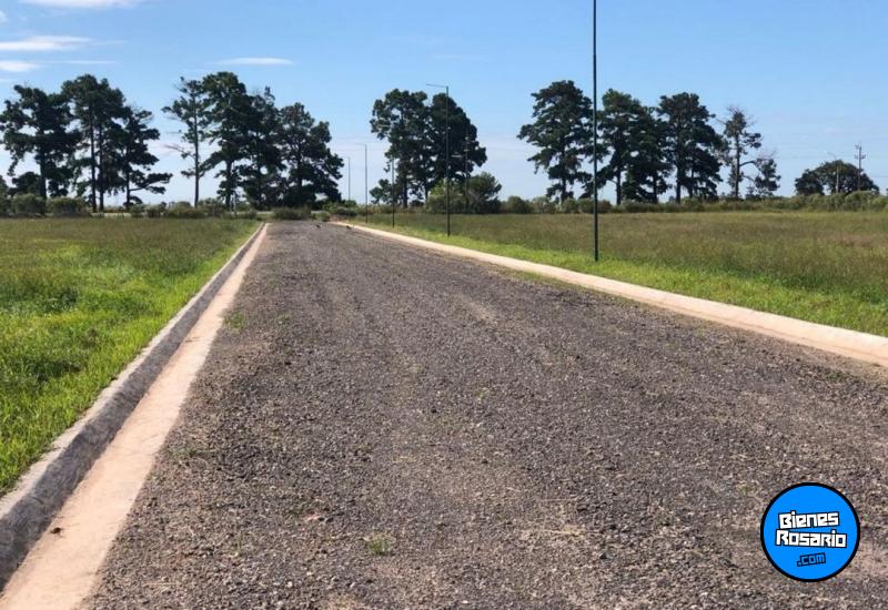 Terrenos - Iriondo - Venta