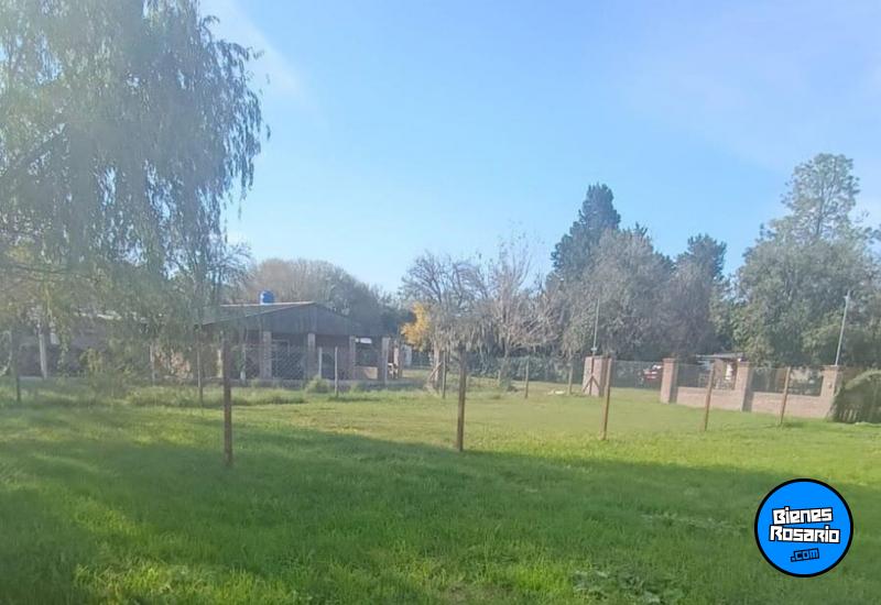 Terrenos - Oliveros - Venta