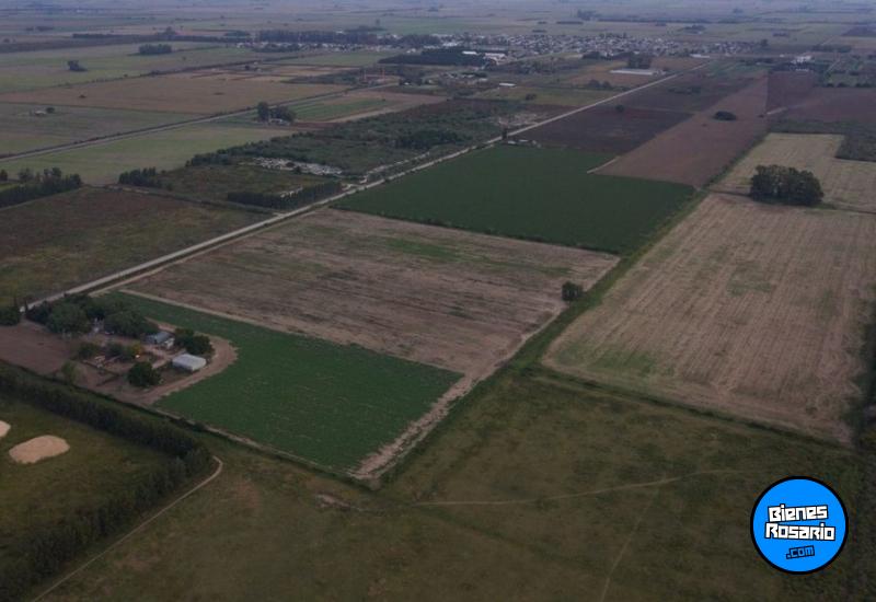 Campos - Fighiera - Venta