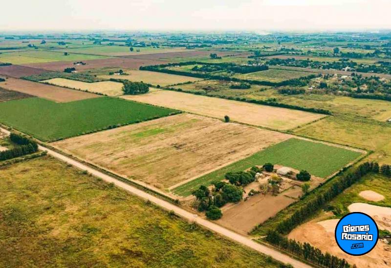 Campos - Fighiera - Venta