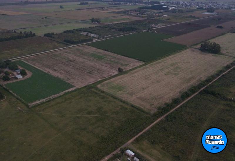 Campos - Fighiera - Venta