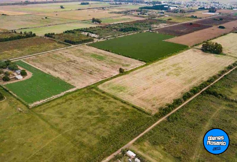 Campos - Fighiera - Venta
