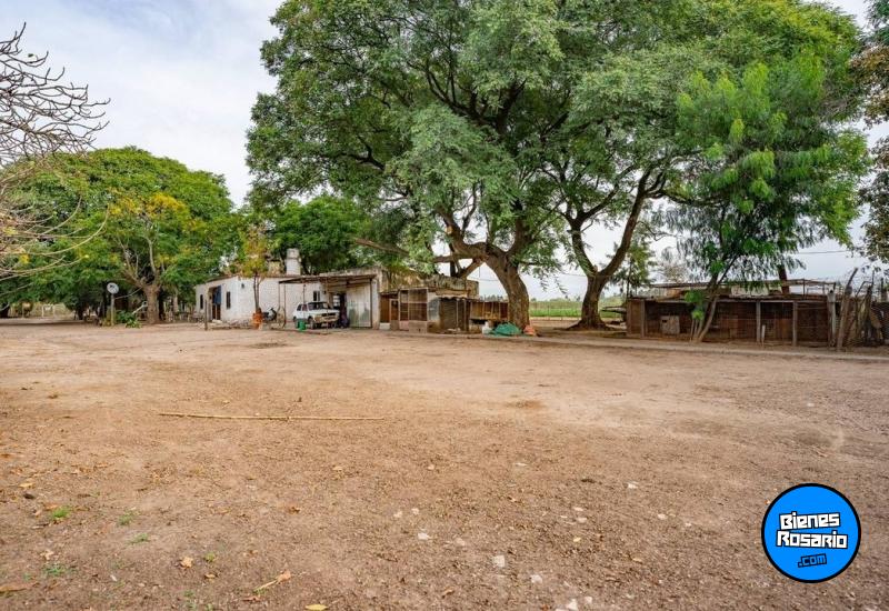 Campos - Rosario - Venta