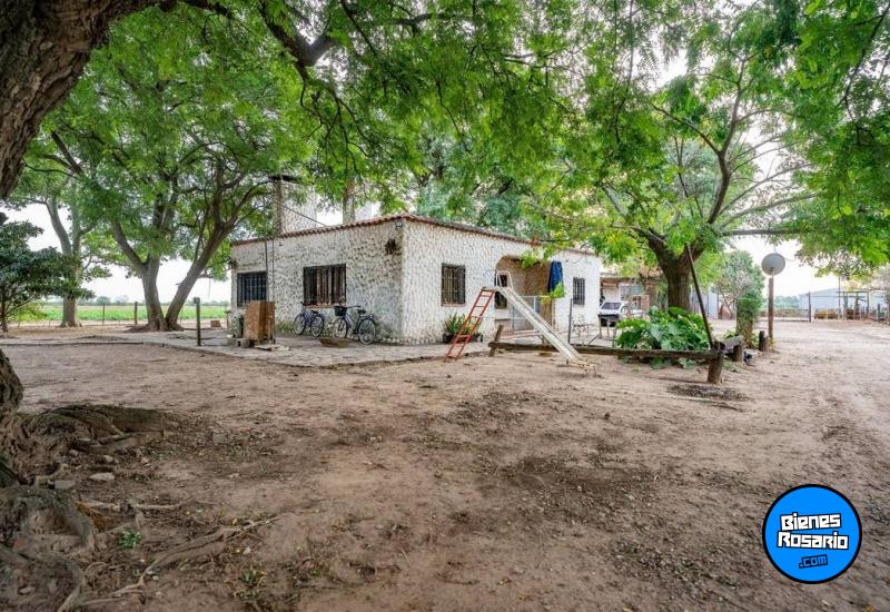 Campos - Rosario - Venta