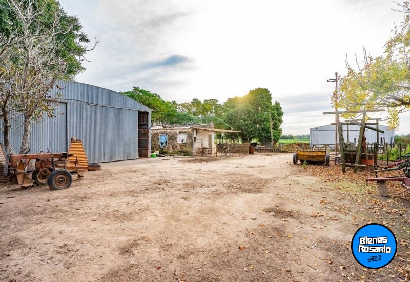 Campos - Rosario - Venta