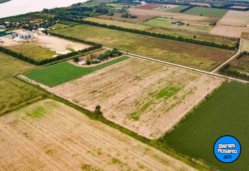 Campos - Rosario - Venta