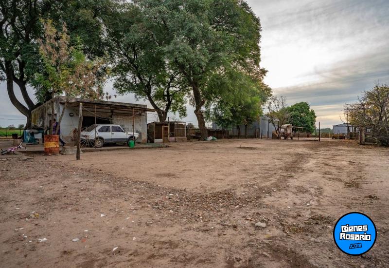 Campos - Rosario - Venta