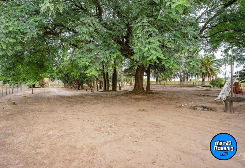 Campos - Rosario - Venta