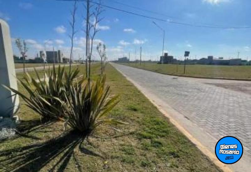 Terrenos - Alvear - Venta