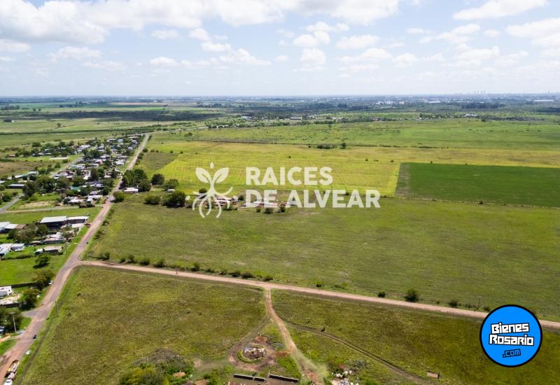 Terrenos - Alvear - Venta