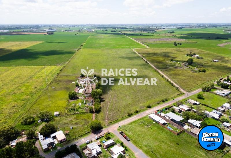 Terrenos - Alvear - Venta
