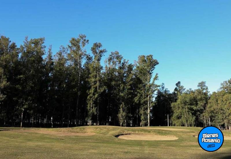 Terrenos - Oliveros - Venta