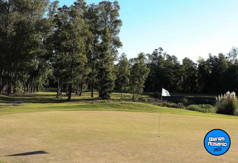 Terrenos - Oliveros - Venta