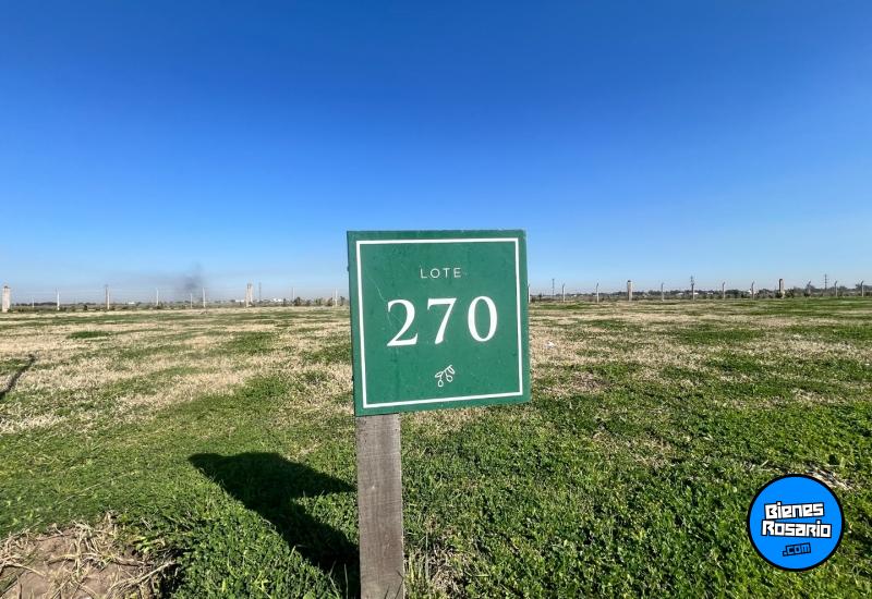 Terrenos - Funes - Venta