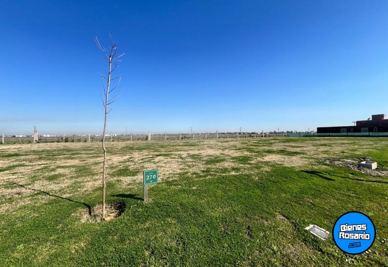 Terrenos - Funes - Venta
