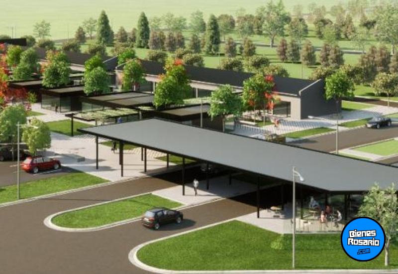 Terrenos - Villa Amelia - Venta