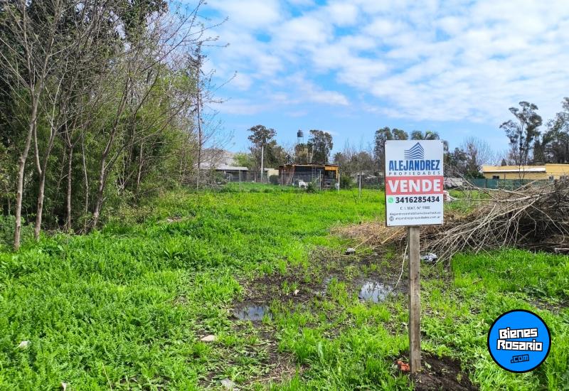 Terrenos - Ibarlucea - Venta