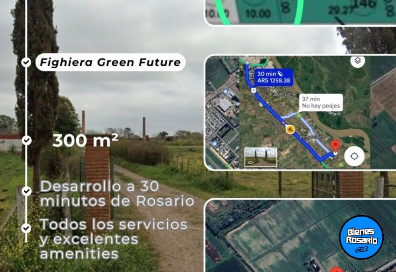 Terrenos - Fighiera - Venta