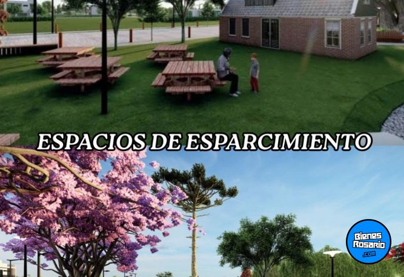 Terrenos - Fighiera - Venta
