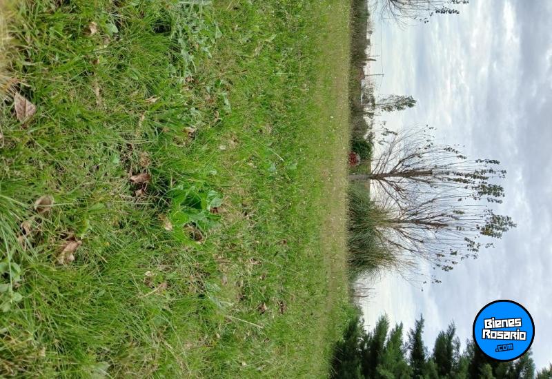 Terrenos - Alvear - Venta