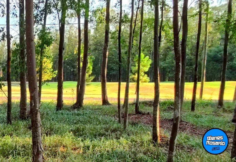 Terrenos - Oliveros - Venta